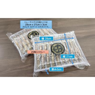 ふるさと納税 金武町 【養殖場から直送】活き〆急速冷凍 金武町産 シロアシエビ　Sサイズ (バナメイエビ) |  | 03