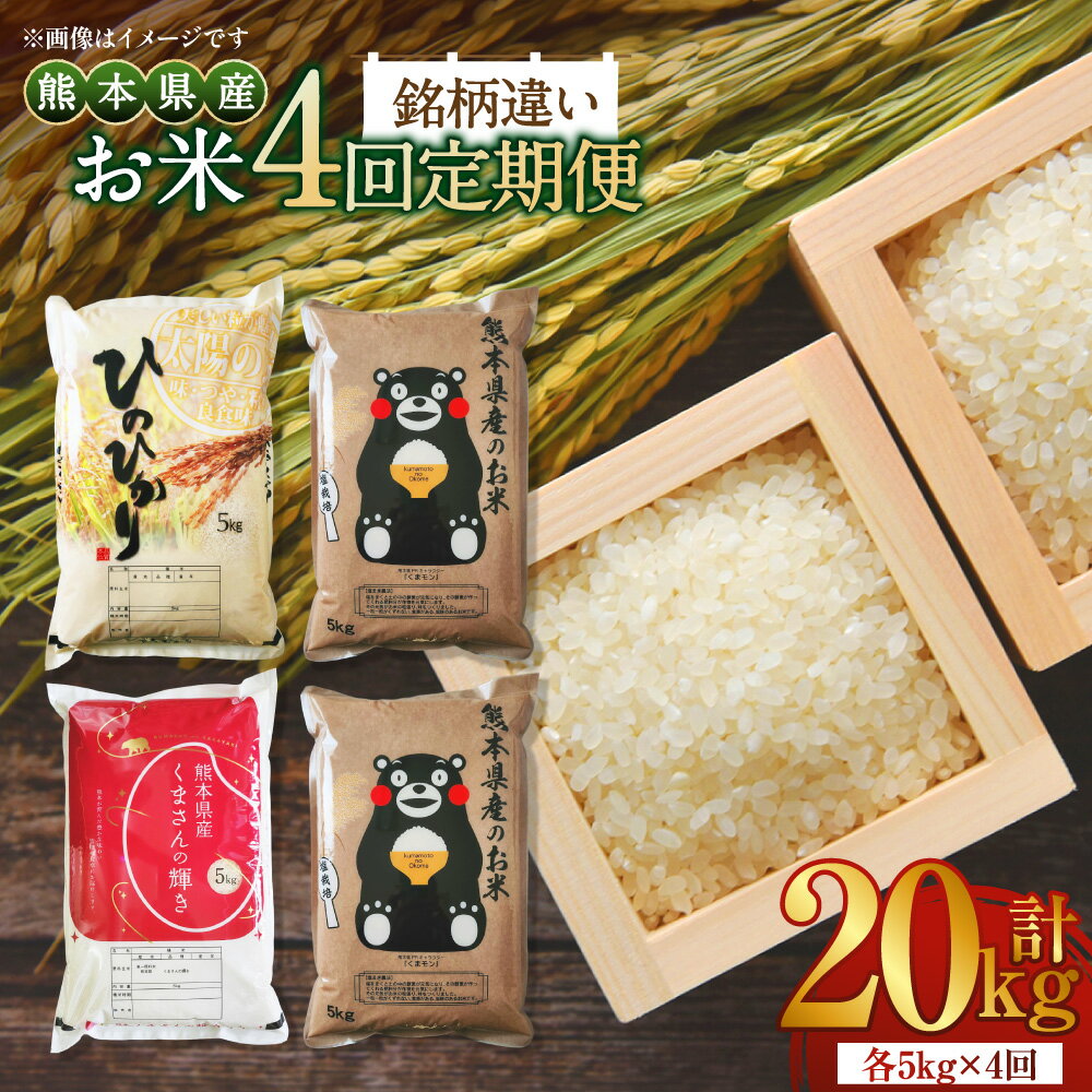 【ふるさと納税】【4か月連続定期便】【令和7年度産】熊本県産のお米 銘柄違い 1回あたり5kg 計20kg（5kg×4回） 1ヶ月毎 ヒノヒカリ・塩栽培米ヒノヒカリ・くまさんの輝き・塩栽培米くまさんの輝き お米 こめ 白米 精米 単一原料米 ごはん ご飯 国産 九州 熊本県 送料無料