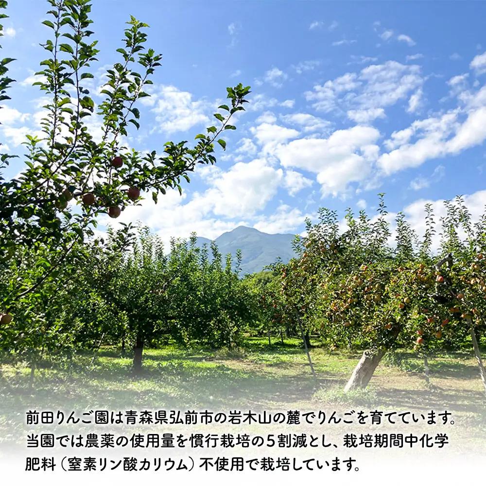 飲み比べ 無添加 ストレート りんごジュース 180ｍl × 12本セット 前田りんご園 リンゴ 果汁 林檎 飲料 アップル 果物 フルーツ 青森 飲み物 ドリンク