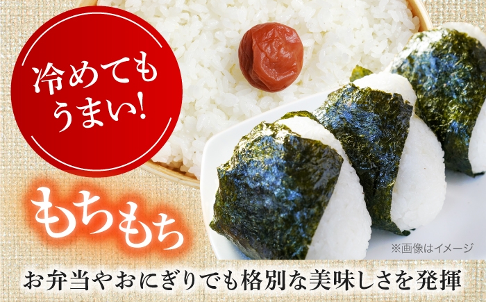 お米 5kg 白米 米 ブレンド米 オリジナル米 白米 精米 魚沼産 おこめ