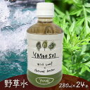 【ふるさと納税】YASOUSUI よもぎ　1ケース（280ml×24本入） 野草水　【 飲料類 水 ミネラルウォーター ヨモギ よもぎ茶 野草茶 岐阜 】