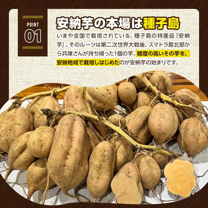 n332 ＜先行予約受付中！2025年10月下旬頃より順次発送予定＞種子島産 安納こがね(10kgセット) 国産 安納芋 黄金本場 種子島 芋 イモ いも さつまいも さつま芋 安納いも 野菜 【なか