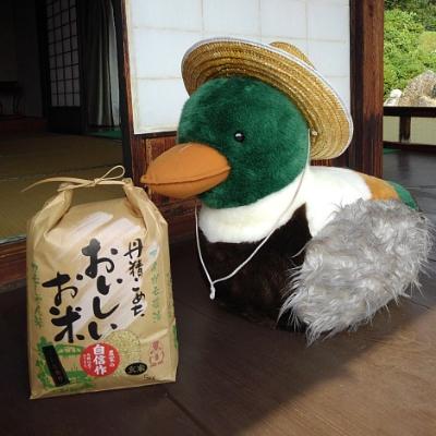 ふるさと納税 飯南町 カモしゃん米　玄米5kg |  | 01