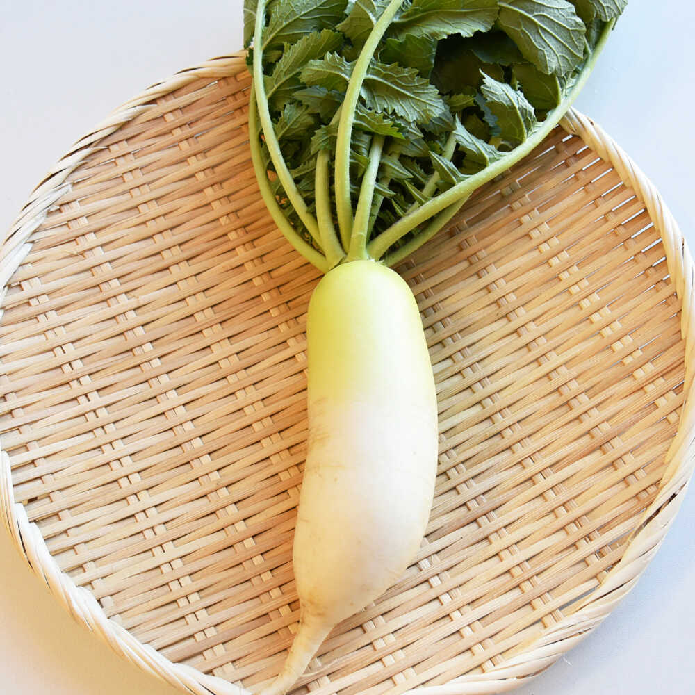 【ふるさと納税】【2025年11月頃より順次発送】和らぎ農法　ほっこり便　大根編 栗東市 / 株式会社　ワダケン[BIBM013]