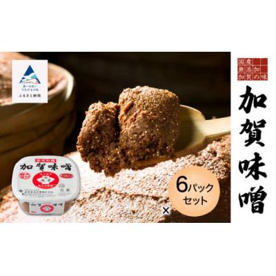 ふるさと納税 小松市 加賀味噌 500g×6パックセット 調味料 みそ