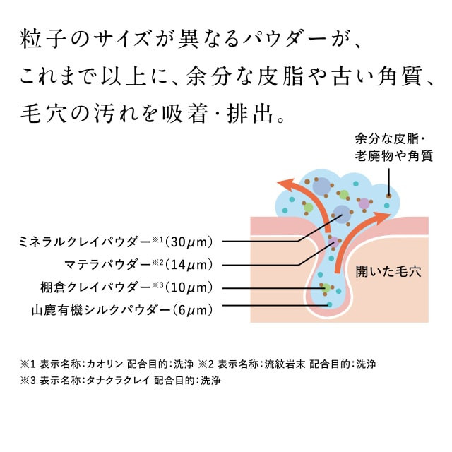 再春館製薬所 ドモホルンリンクル 洗顔 石鹸 110g