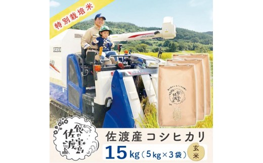 佐渡島産コシヒカリ 玄米15kg(5kg×3袋)【令和7年産】特別栽培米 農家直送