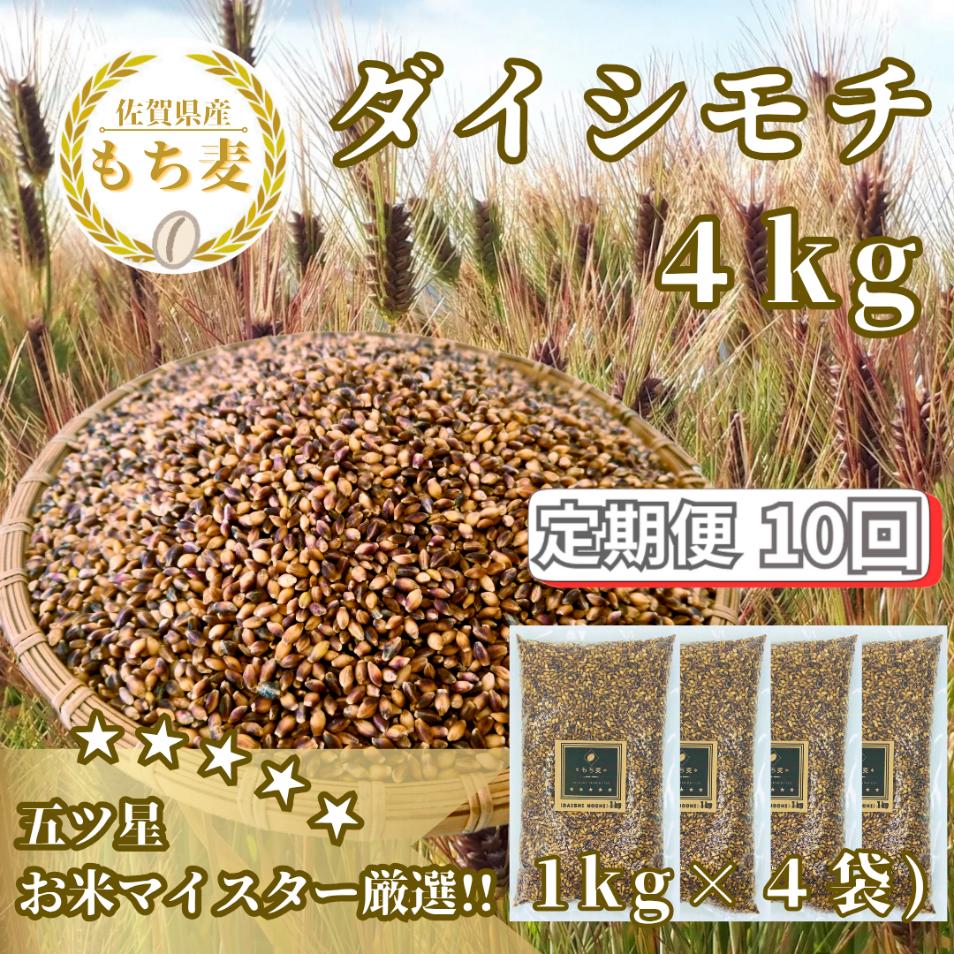 CIC22_【１０回定期便】ダイシモチ４ｋｇ もち麦 キラリ もち麦ごはん