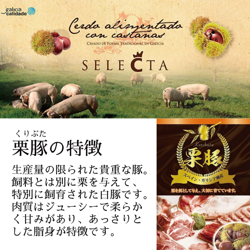 栗豚 切り落とし 600g【オリジナルスパイス仕込み 小分け 300g×2P 豚肉 焼くだけ お試し】 G3444