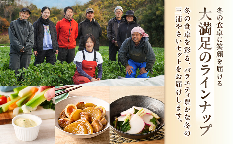 ボリューム満点！季節の野菜詰め合わせ（冬）　M001-004-02