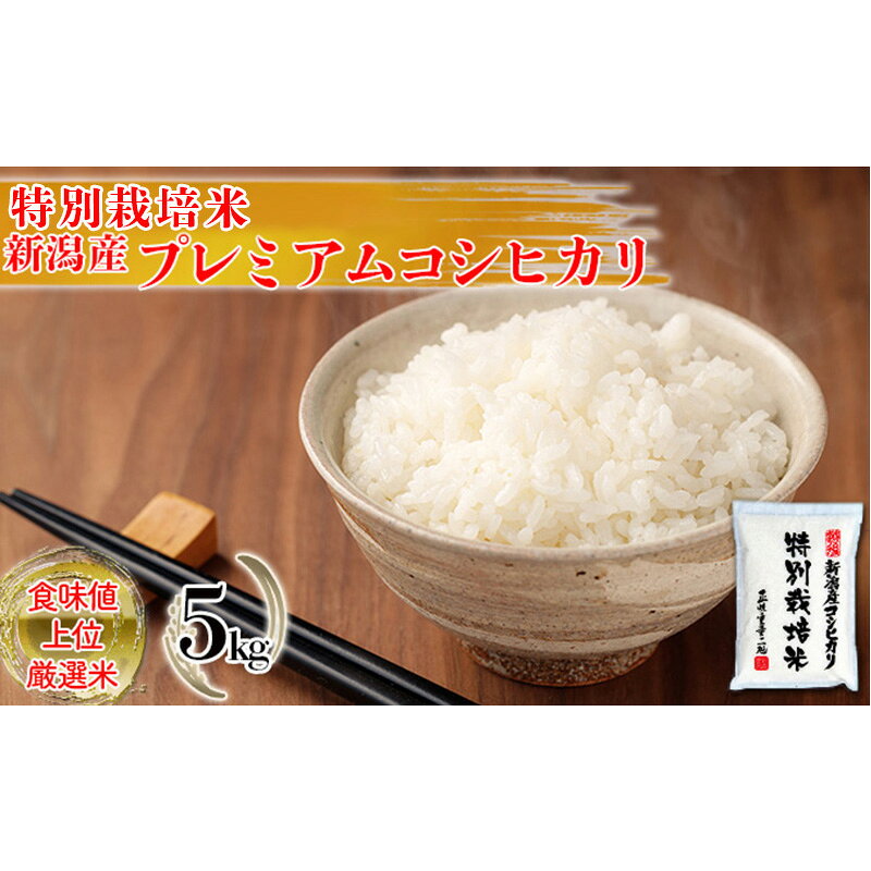 【ふるさと納税】特別栽培米 新潟産コシヒカリ白米 5kg お米 こしひかり 　お届け：寄附確認後、随時発送