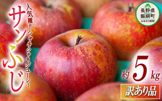 【 訳あり品 】 りんご サンふじ 訳あり 5kg 2026年12月上旬頃から2027年2月下旬頃まで順次発送予定 ふるさと振興公社 林檎 リンゴ 長野県 飯綱町 [1562]