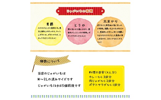 <早期予約>北海道ニセコ町 訳ありじゃがいも男爵10kg【2025年産】【3201001】