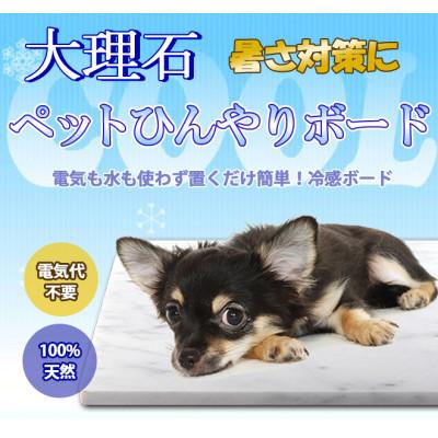 ふるさと納税 大野町 大理石ペットひんやりボード 40×40センチ ビアンコカラーラ イタリア産 2枚セット