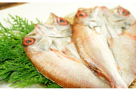あけぼの丸と浜の匠が贈る高級のどぐろ一夜干し約400ｇ特大サイズ木箱入【1391】