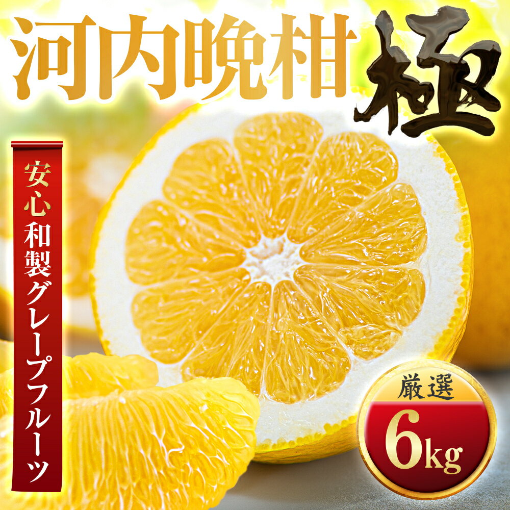 【ふるさと納税】【太陽をたっぷり浴びた】河内晩柑【極】 3.5kg / 6kg / 12kg _ 河内晩柑 晩柑 かわちばんかん みかん ミカン 蜜柑 愛媛県 国産 和製グレープフルーツ 果物 くだもの フルーツ デザート かんきつ 柑橘 柑橘類 産直 産地直送 【G1509764】