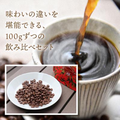 ふるさと納税 下呂市 緑の館 珈琲豆 オリジナルブレンド 100g×3種セット【17-128】 |  | 02