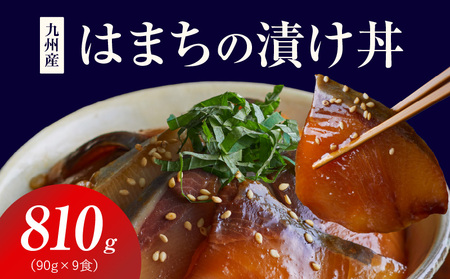 S155-003_九州産はまちの漬け丼 9食セット