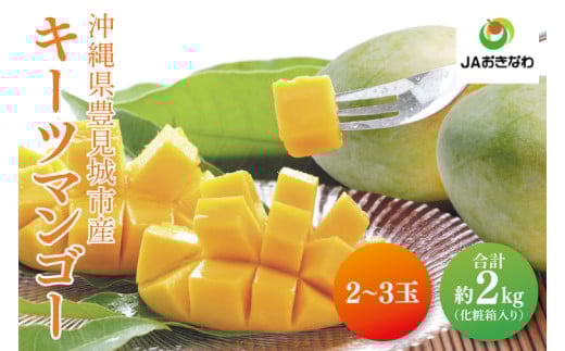 【2026年8月より順次発送】キーツマンゴー 2～3玉(約2kg)(化粧箱)｜沖縄県 豊見城市 マンゴー キーツマンゴー フルーツ 果物 くだもの おきなわマンゴー 先行予約 ギフト 贈り物 化粧箱入り 先行予約(AE015)