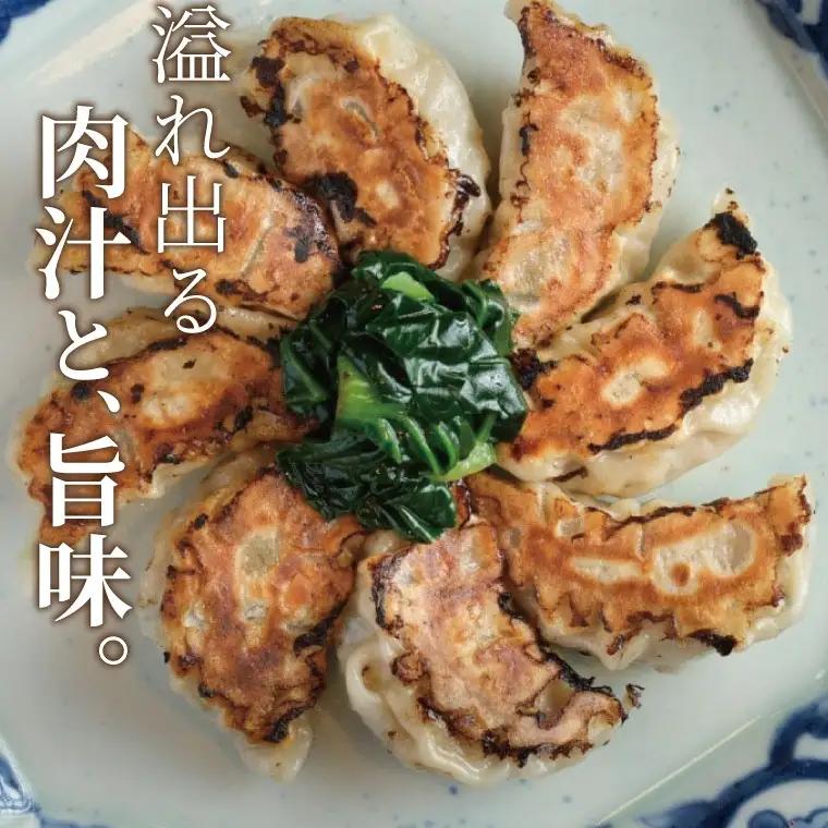 文菜華 ノンメタポーク100％使用の生冷凍餃子40個と文菜華辣油1本のセット 〈 冷凍 餃子 ラー油 辣油 調味料 セット 山椒 唐辛子 中華調味料 冷凍食品 豚肉 ごはん チャーハン シュウマイ 麻