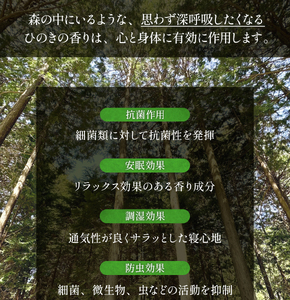 ZY001-3 ひのきのまくら 『夢香』カラー：ベージュ