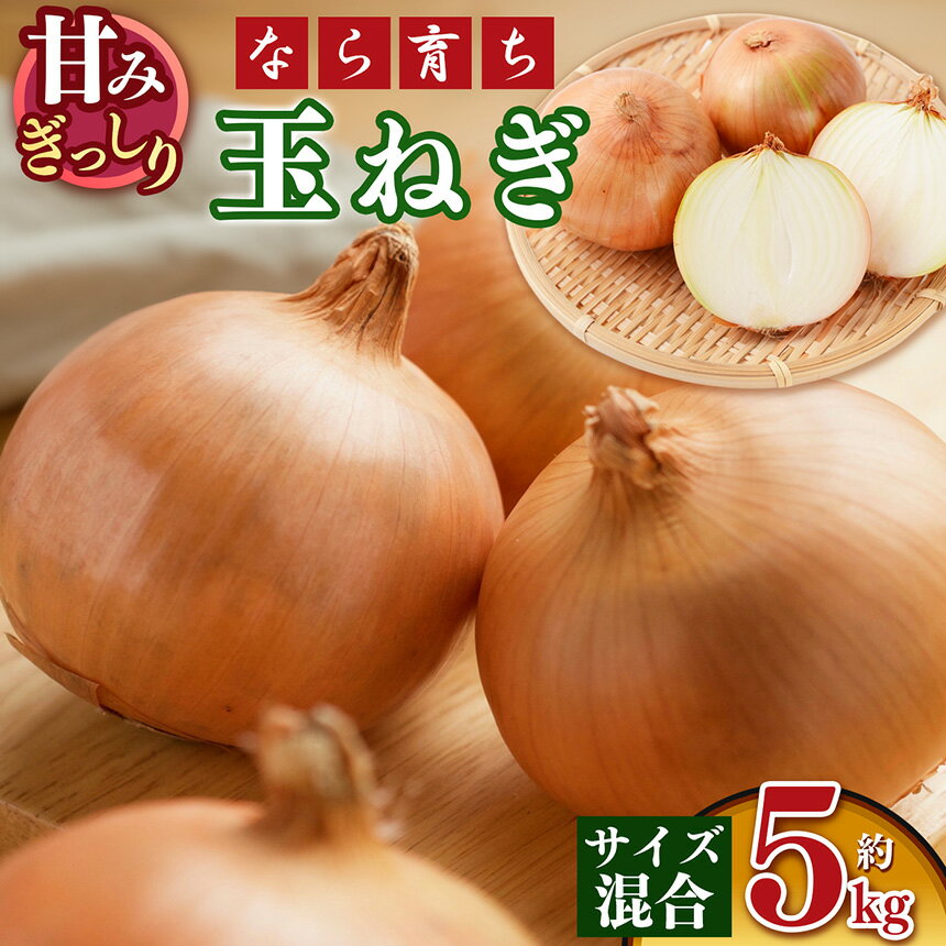 【ふるさと納税】【なら育ち 益田農園】 玉ねぎ約 5kg サイズ混合｜ヤサイ 野菜 ベジタブル 玉ねぎ オニオン 奈良県 五條市