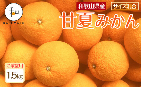 家庭用 森本農園の手選別 甘夏みかん 約1.5kg 和歌山県産 サイズ混合 ［北海道・沖縄・離島配送不可］［2026年4月上旬から順次発送］［RN68］