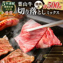 【ふるさと納税】国産 和牛 A5ランク 葉山牛 焼肉用 ミックス 切り落とし ( ロース モモ カルビ 等 ) 計500g A5 黒毛和牛 牛肉 焼肉 冷凍 焼肉食べ比べ 焼肉セット 肉 【葉山牛ステーキレストラン 角車】[ASBD012]