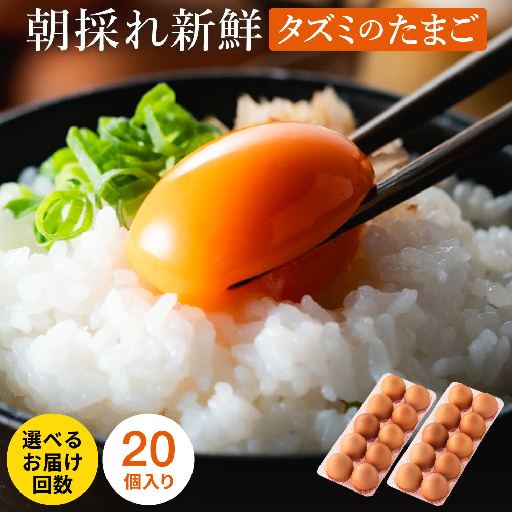 【ふるさと納税】（定期便）卵かけご飯にも相性抜群！タズミの卵 Mサイズ / 20個×1回 定期便 全3回（60個） 20個×3ヶ月 全6回（120個） 20個×6ヶ月 こだわり卵 市川町産 兵庫県産 たまご たまごかけご飯 玉子 生卵 鶏卵 タマゴ 卵焼き TKG 005AB02N.