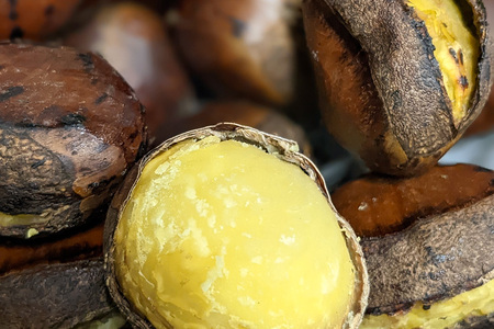 笠間の栗・かねこ農園の焼き栗　200g×5袋