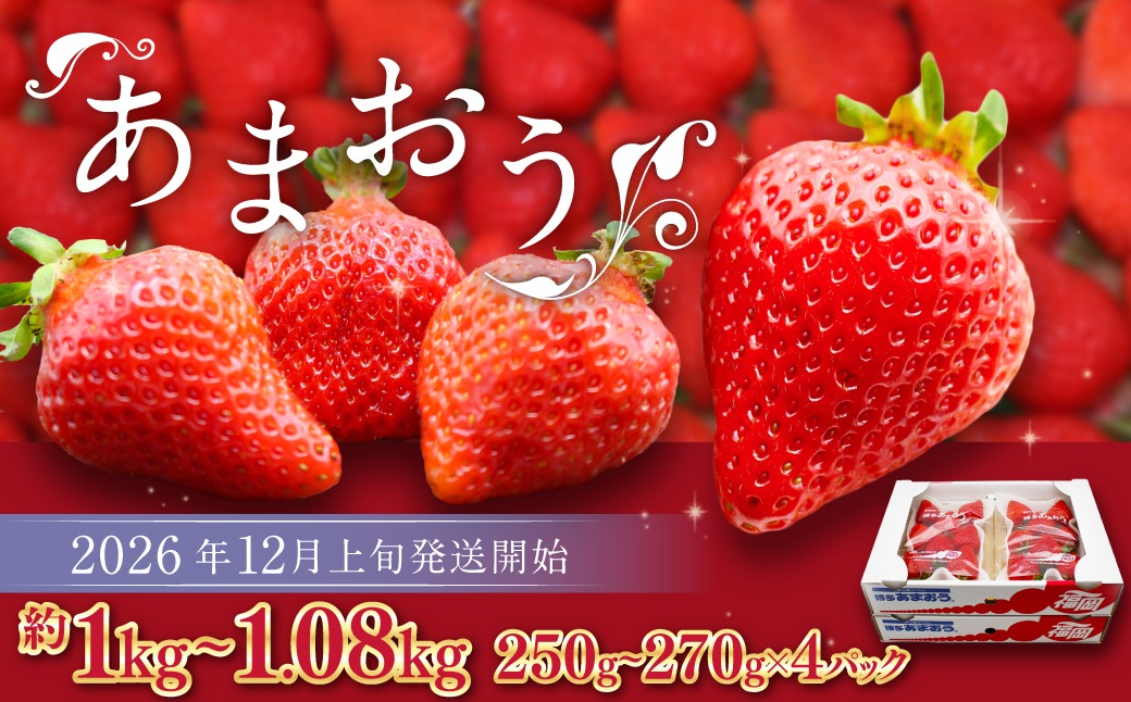 博多あまおう（冬） 約250g～270g×4パック 計約1kg～1.08kg【2026年12月上旬-2027年1月下旬発送予定】 いちご 苺 イチゴ 果物 フルーツ
