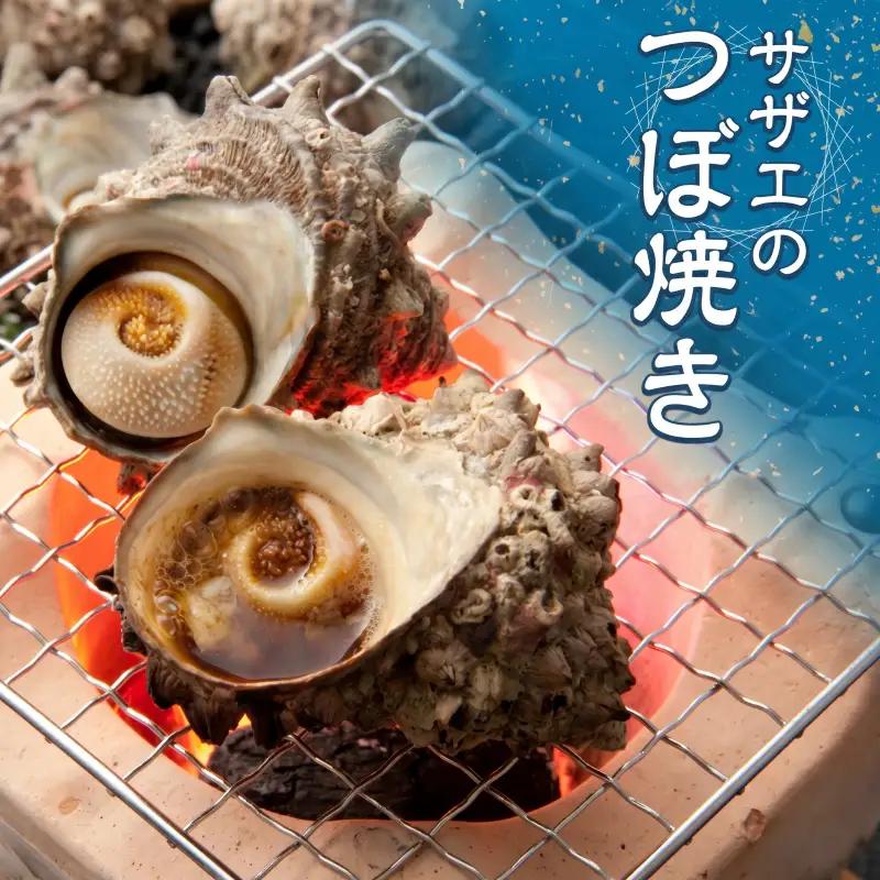 活きサザエ Aコース 1kg（8～12ヶ入り）山金商店 サザエ