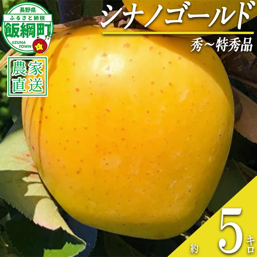 【ふるさと納税】 りんご シナノゴールド 5kg 秀〜特秀 関果樹園もりんご 沖縄県への配送不可 〔 果物 フルーツ 林檎 長野 予約 農家直送 贈答用 5キロ 18000円 〕【令和8年度収穫分】 発送：2026年11月上旬〜