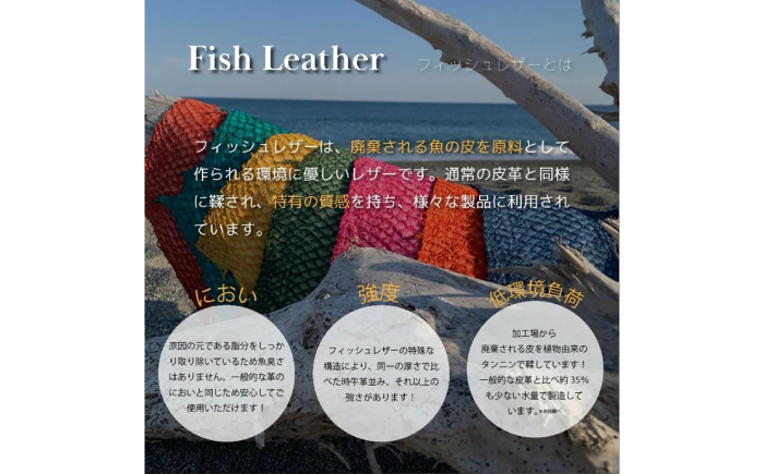 【Ocean Blue】Ocean Leather 名刺入れ〈マダイ〉Lサイズ【興洋フリーズ株式会社】 [ATBX066-02]