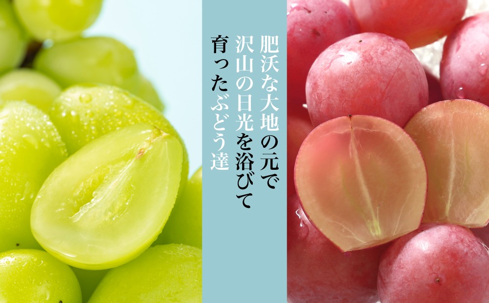 フルーツ栽培に適した「扇状地」と「盆地の外縁」という大変に恵まれた土地で私たちはブドウを育てさせていただいています。