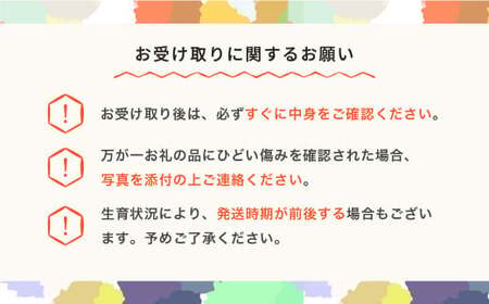 先行予約 さくらんぼ 品種おまかせ 赤秀 Mサイズ 1kg バラ詰 2026年産 令和8年産 山形県産 mm-saoam1000
