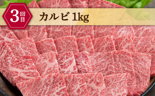 【全3回定期便】しまね和牛 3種食べ比べ定期便 カルビ モモ 肩ロース 島根県松江市/フジキコーポレーション株式会社 [ALDS011]