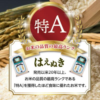 ふるさと納税 大江町 《先行受付》新米《6ヶ月定期便》 はえぬき 5kg×6ヶ月【10月頃より順次発送】001-T06 |  | 01