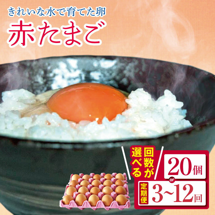 【ふるさと納税】【選べる回数】2週間以内に発送 きれいな水で育てた卵 赤たまご 20個 1回～12回 | 早く届く すぐ すぐ発送 保坂農場 赤玉 赤い卵 卵 たまご 銘水 定期便 定期 3回 6回 12回 君津市産 イチオシ 千葉 君津 きみつ 房総