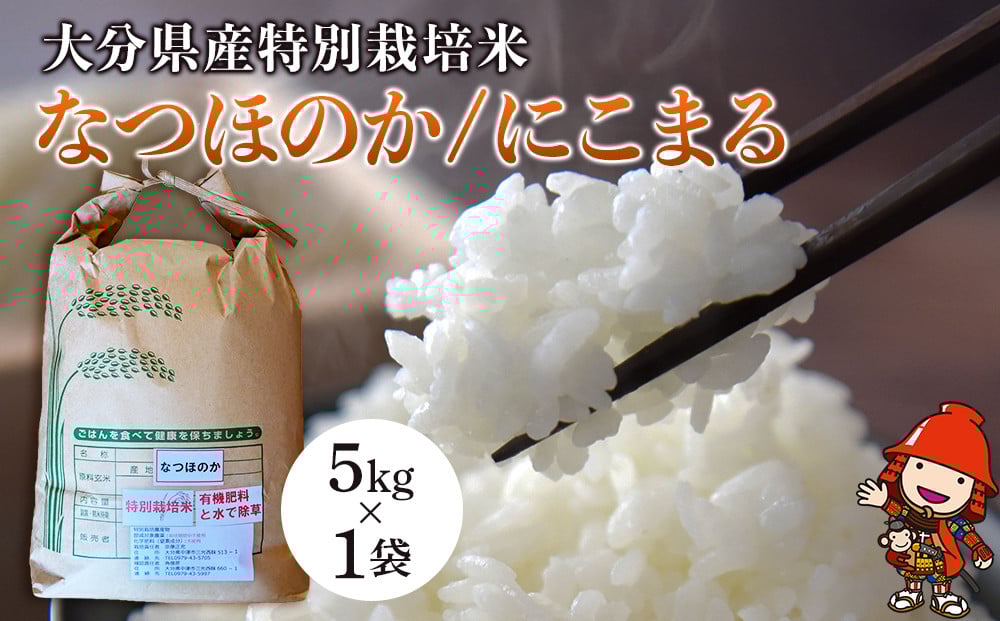 
            令和7年産 特別栽培米 なつほのか にこまる 5kg×1袋 | 大分県中津市三光産 栽培期間中 農薬不使用 精米 玄米 選べる 国産 お米 米 ご飯 白米 農家直送 宗像農園 大分県産 九州産 大分県 中津市
          