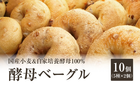 国産小麦＆自家培養酵母100％　酵母ベーグル10個 ベーグルセット プレーン ベーグルパン パンベーグル もちもちベーグル  酵母 ベーグル 065-09