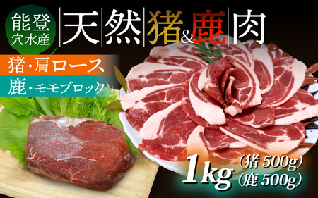 能登・穴水産 天然 猪肩ロース ＆ 鹿モモブロック 各500g 計1kg | ジビエ 冷凍