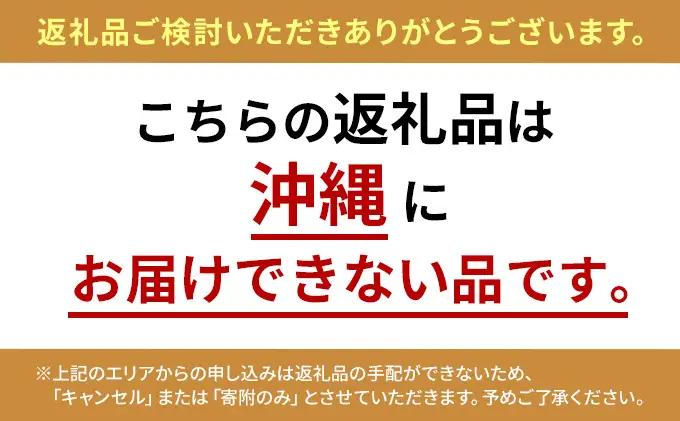 定期便 12回 エクササイズ 紅茶 30本入り 1袋 美容 健康 ダイエット 飲料 ポリフェノール アミノ酸 食物繊維 コーヒークロロゲン酸 コエンザイムQ10 L-カルニチン 燃焼サポート 送料無料