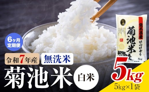 【6ヶ月定期便】 熊本県産 菊池米 白米 無洗米 5kg 1袋5kg 米 お米 令和7年産 九州産 熊本県産 送料無料《お申込み翌月に出荷予定》 白米 米