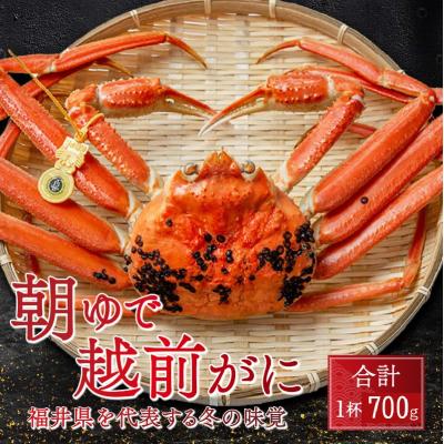 ふるさと納税 小浜市 朝ゆで越前ガニ1杯【約700g】　