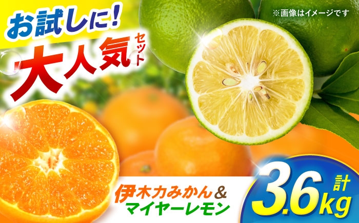 
            【大人気みかんとレモンのお試しセット】伊木力みかん(家庭用)1.8kg マイヤーレモン1.8kg 計3.6kg / みかん ミカン 蜜柑 mikan 柑橘 かんきつ レモン れもん 檸檬 果汁 果物 / 諫早市 / 山野果樹園 [AHCF016]
          
