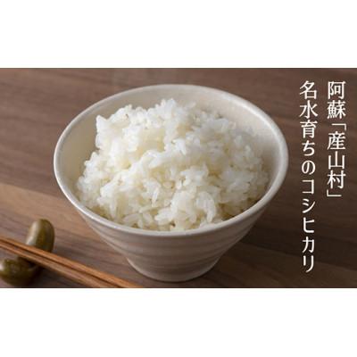 ふるさと納税 産山村 【令和7年産新米】うぶまい(コシヒカリ白米)10kg〈阿蘇の名水 池山水源米〉 |  | 02
