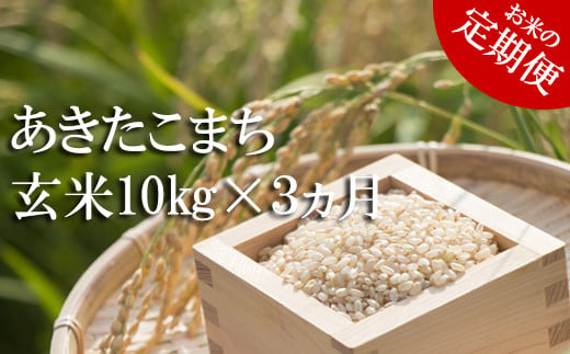 
            【2024年11月発送開始】 令和6年産 新米 あきたこまち 玄米 10kg 3ヶ月 定期便 ／ 米 産地直送 岩手県産 【かきのうえ】
          