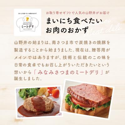 ふるさと納税 南さつま市 特大サイズの豚バラチャーシュー 450g×2本[みなみさつまのミートデリ]焼豚 煮豚 角煮 豚肉 |  | 03