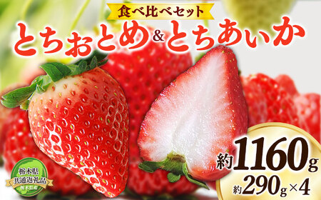 【2025年先行予約】日本一のいちご生産量を誇るJAはが野が厳選 とちおとめ、とちあいか食べ比べ平パック4P | 栃木県 下野市 送料無料